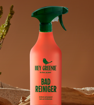 Bad Reiniger